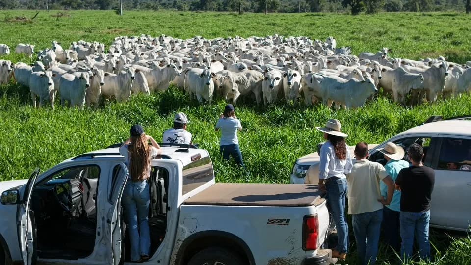 Comitiva Pecuária Tropical pelo Clima faz escuta de pantaneiros com Sindicato Rural de Corumbá