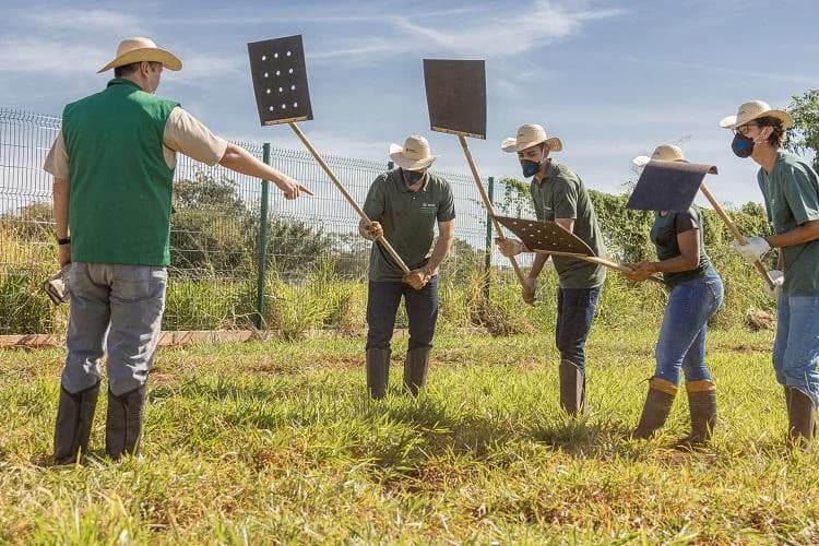Sindicato Rural de Corumbá e Senar/MS abrem curso de prevenção de incêndios em áreas rurais